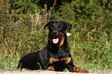 BEAUCERON 720